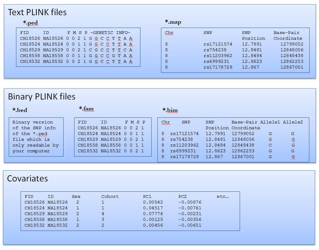 data type